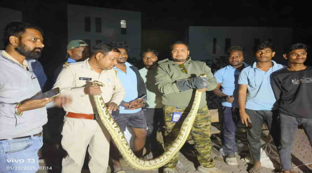 CG NEWS: स्कूल में दो अजगर सांप निकलने से मचा हड़कंप s 7