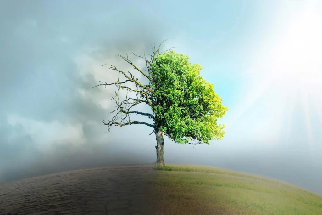 ey navigating indias climate and sustainability transition v2