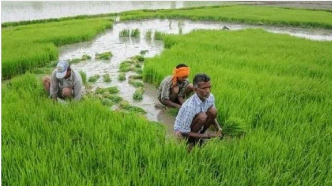 डिजिटल क्रांति
