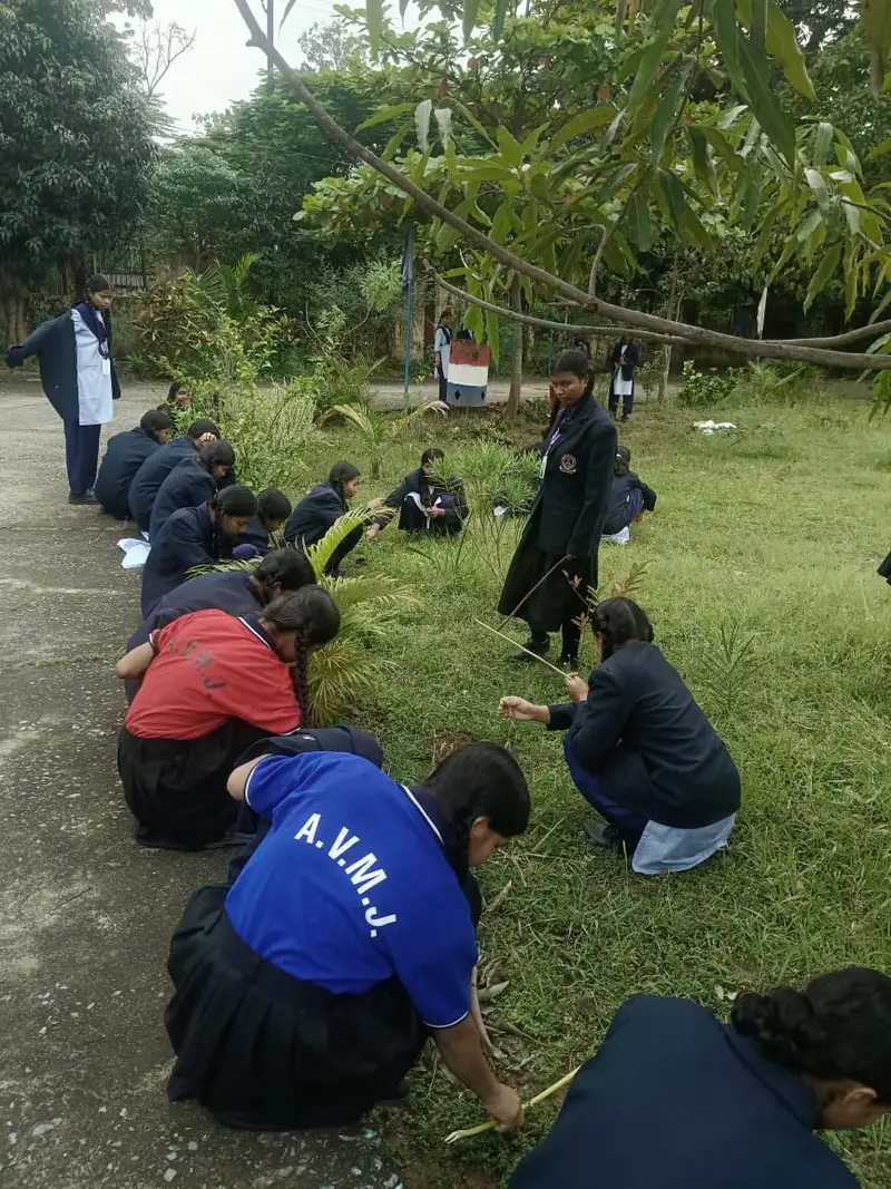 1765374266 7a769905535733f5bda9