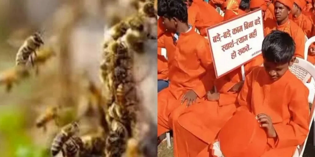 कार्यक्रम