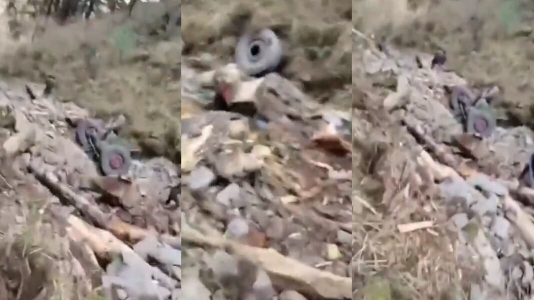 जम्मू कश्मीर