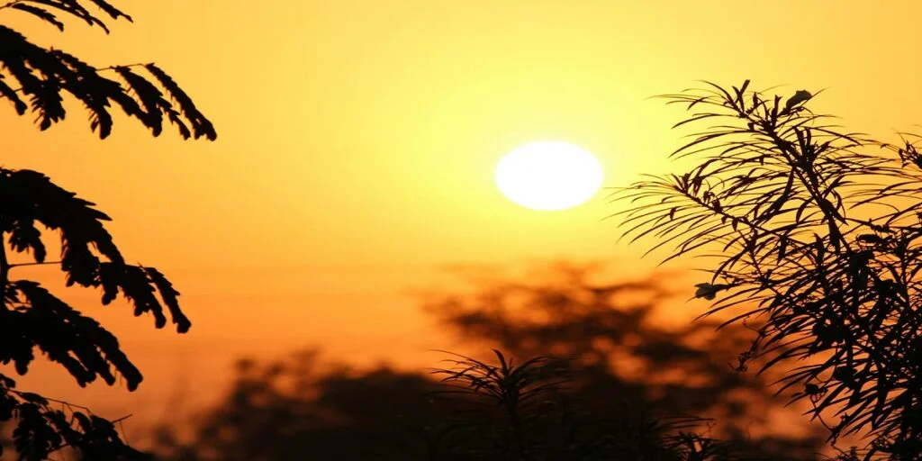 छत्तीसगढ़