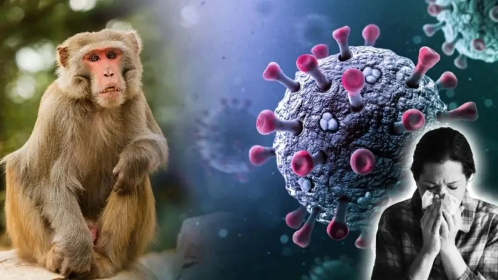 Kyasanur Forest Disease: कर्नाटक में मंकी फीवर से 29 साल के युवक की मौत, जानिए कितनी खतरनाक है ये बीमारी Kyasanur