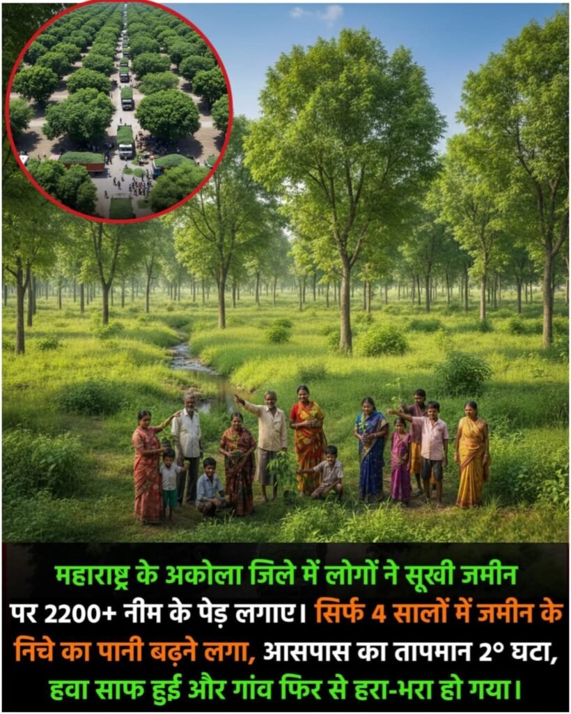 अकोला