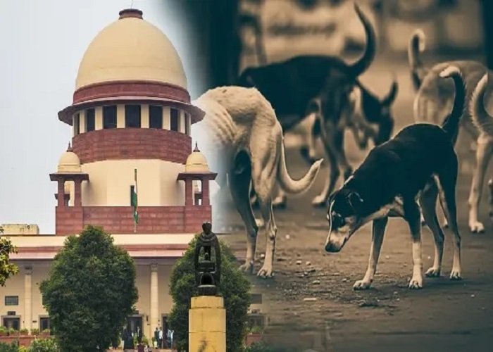 सुप्रीम कोर्ट का बड़ा फैसला: डॉग लवर्स की याचिका खारिज, अब सड़कों से हटेंगे आवारा कुत्ते Untitled 198