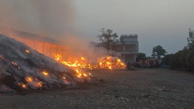 CG Fire News: तेंदूपत्ता गोदाम में भीषण आग, करोड़ों का नुकसान, वन विभाग की लापरवाही पर उठे सवाल Untitled 313