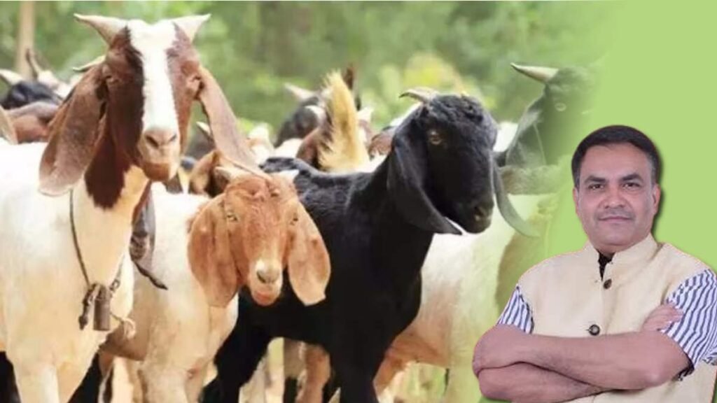 Eid ul Adha 2026: बकरीद से पहले छत्तीसगढ़ वक्फ बोर्ड की सख्त एडवाइजरी, खुले में कुर्बानी पर रोक समेत 5 अहम निर्देश जारी Untitled 316