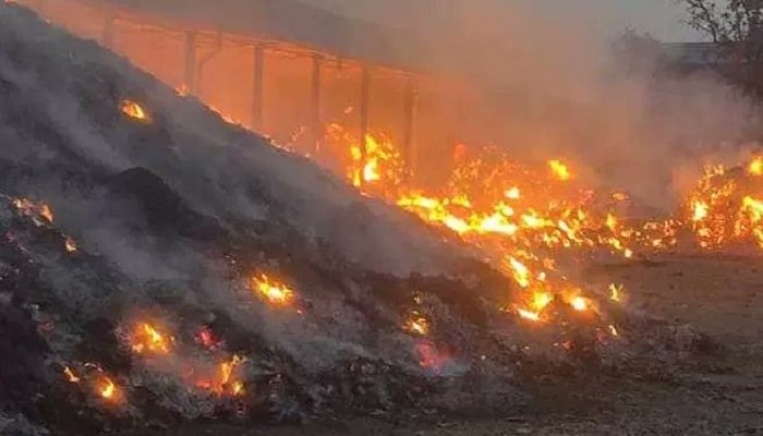 तेंदूपत्ता अग्निकांड पर सख्त एक्शन: वन मंत्री ने हटाए DFO, जांच के लिए अनुभवी अधिकारी की नियुक्ति Untitled 341