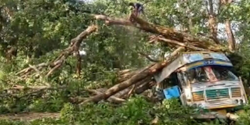 Chhattisgarh : ट्रक पर पेड़ गिरने से नेशनल हाईवे जाम, वाहनों की लंबी कतार Untitled 411
