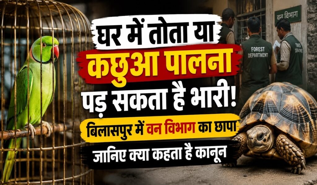 घर में तोता या कछुआ पालना पड़ सकता है भारी! बिलासपुर में वन विभाग का छापा, जानिए क्या कहता है कानून Untitled 281