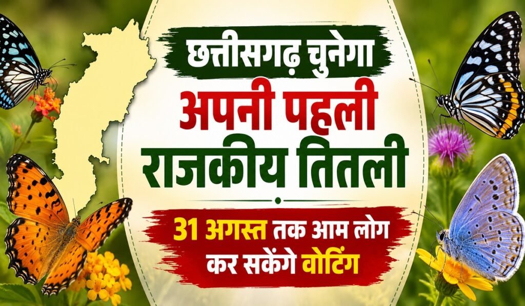 CG State Butterfly: छत्तीसगढ़ चुनेगा अपनी पहली राजकीय तितली, 31 अगस्त तक आम लोग कर सकेंगे वोटिंग Untitled 328