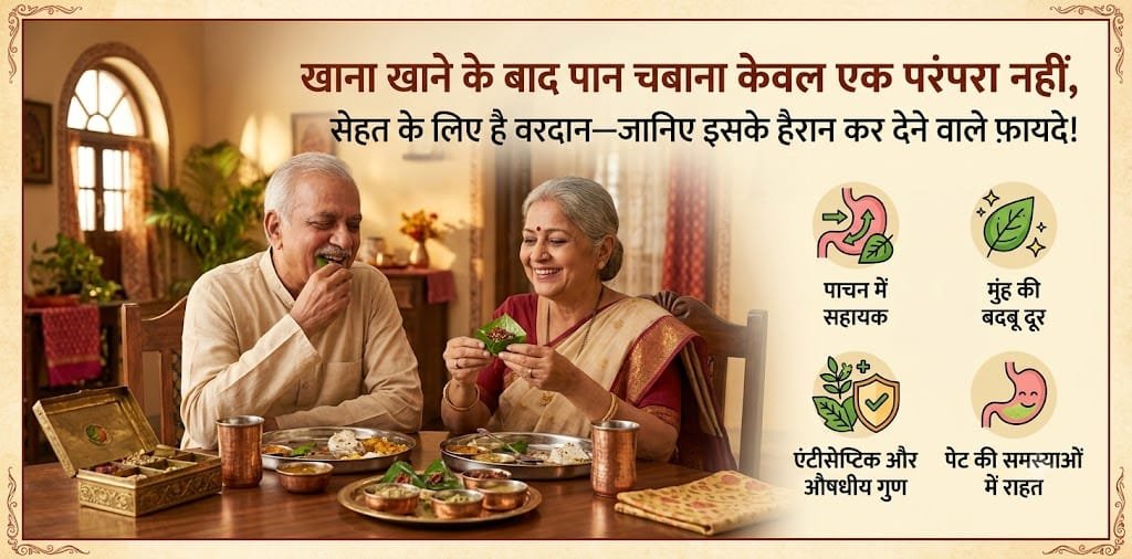 खाना खाने के बाद पान चबाना केवल एक परंपरा नहीं, सेहत के लिए है वरदान—जानिए इसके हैरान कर देने वाले फ़ायदे! tre.jpge