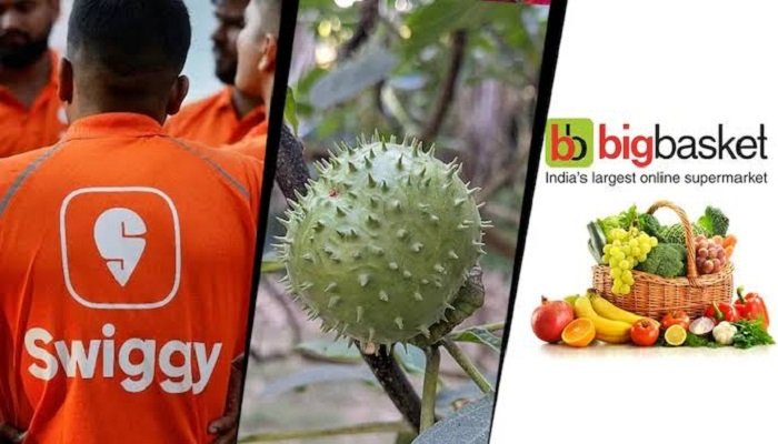 ऑनलाइन बिक रहा जहरीला धतूरा! Amazon, Swiggy, Instamart और BigBasket का फूड लाइसेंस इस राज्य में हुआ सस्पेंड Untitled 288