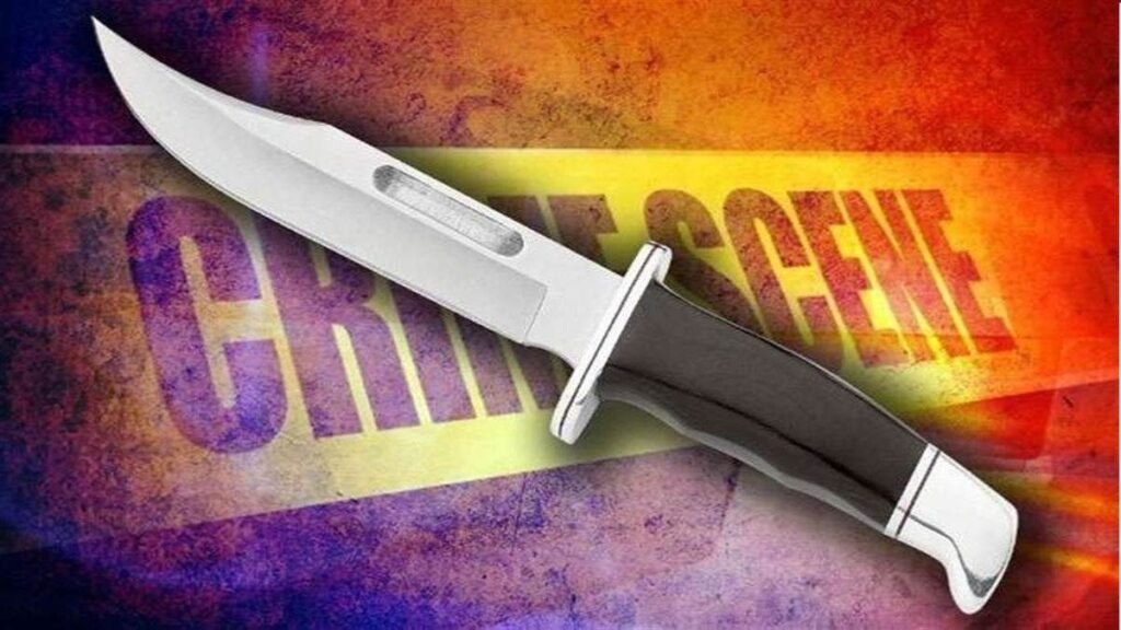 CG Crime: रायपुर में ईद मिलादुन्नबी जुलूस के दौरान हंगामा, हिस्ट्रीशीटर ने 3 युवकों को मारा चाकू Untitled 296