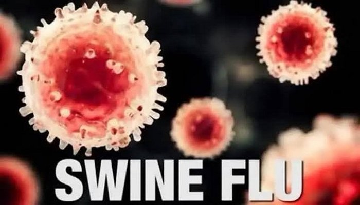 Swine Flu: छत्तीसगढ़ के इस जिले में बढ़ा स्वाइन फ्लू का खतरा, 7 संक्रमित मिलने के बाद प्रशासन सतर्क Untitled 305