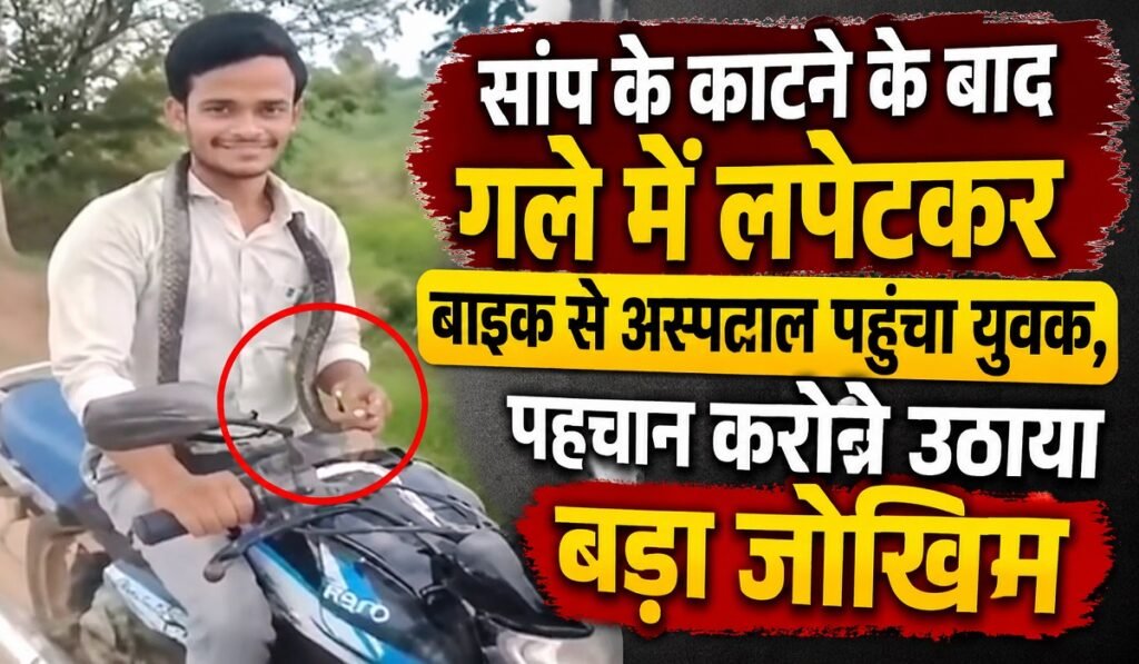 CG News: सांप के काटने के बाद गले में लपेटकर बाइक से अस्पताल पहुंचा युवक, पहचान कराने उठाया बड़ा जोखिम Untitled 60