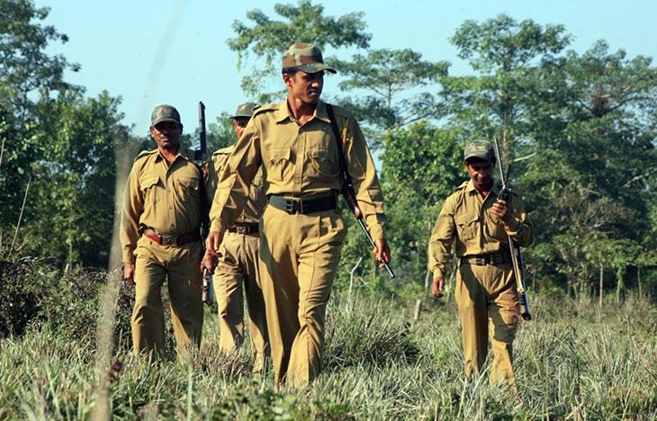 CG Forest Guard Recruitment: छत्तीसगढ़ वन विभाग में 1484 वनरक्षक पदों पर भर्ती, 13 दिसंबर को होगी लिखित परीक्षा fdf 1